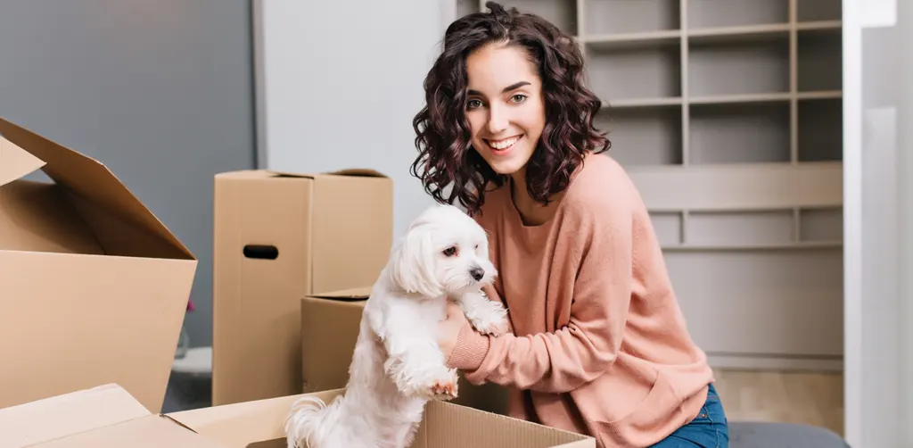 Moving with Pets: Safety Tips for a Secure Journey